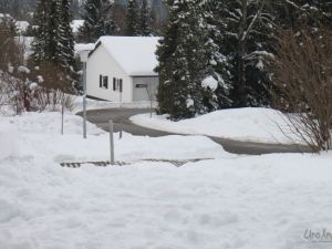 ua130216park002.JPG